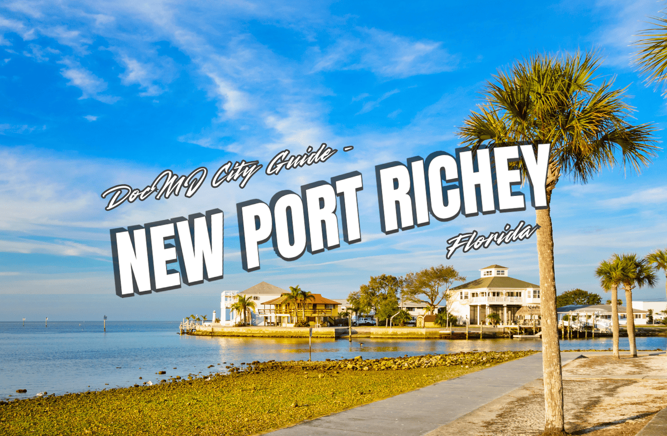 The Complete Guide to Cannabis in New Port Richey, FL