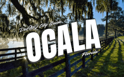 The Complete Guide to Cannabis in Ocala, FL