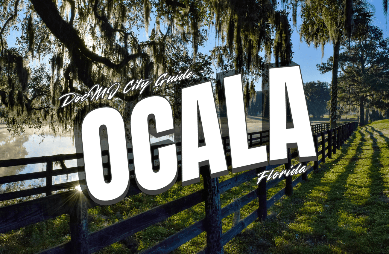The Complete Guide to Cannabis in Ocala, FL