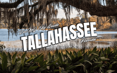 The Complete Guide to Cannabis in Tallahassee, FL