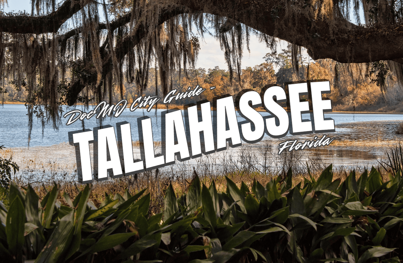 The Complete Guide to Cannabis in Tallahassee, FL