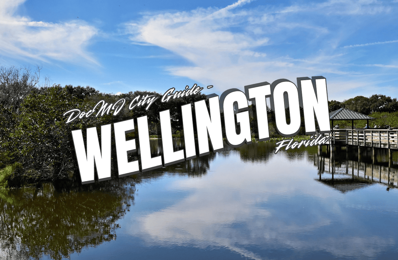 The Complete Guide to Cannabis in Wellington, FL